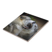 オオカミの戦い タイル (側面)