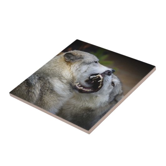 オオカミの戦い タイル (側面)