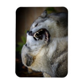 オオカミの戦い マグネット (縦)