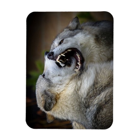 オオカミの戦い マグネット (縦)