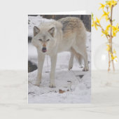 オオカミの挨拶状 カード (黄色い花)