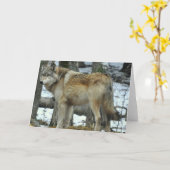 オオカミの挨拶状 カード (黄色い花)