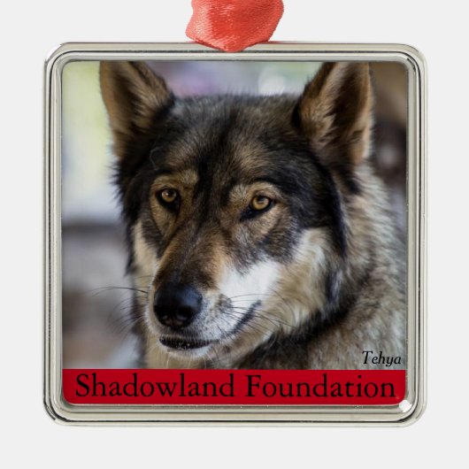 オオカミの木のオーナメント メタルオーナメント (正面)