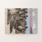 オオカミの植民地 ジグソーパズル (横)