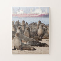 オオカミの植民地