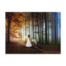 オオカミの歩く