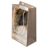 オオカミの毛皮の茶色 スモールペーパーバッグ (正面アングル)