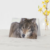 オオカミの熟視 カード (黄色い花)