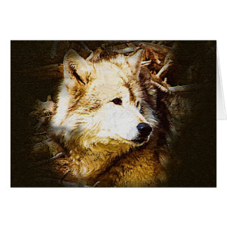 オオカミの監視