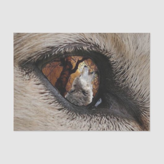 オオカミの目 薄葉紙 (正面)