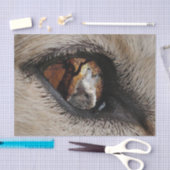 オオカミの目 薄葉紙 (クラフト)