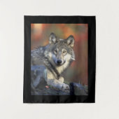 オオカミの知恵 タペストリー (正面)