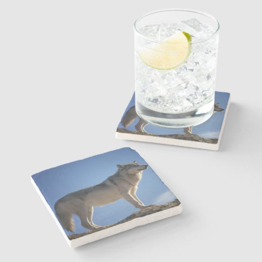 オオカミの石造りのコースター ストーンコースター (横)