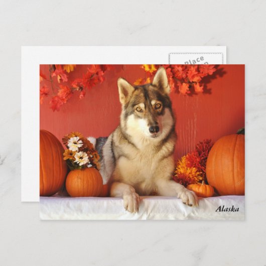 オオカミの秋の休日の郵便はがき シーズンポストカード (正面/裏面)