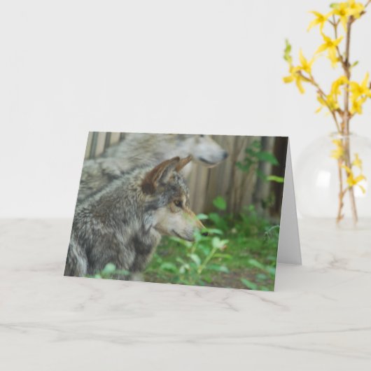 オオカミの組の挨拶状 カード (黄色い花)