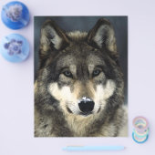 オオカミの肖像フライヤー チラシ (シングル)