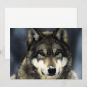 オオカミの肖像招待状 招待状 (正面/裏面)