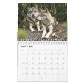 オオカミの自然撮影 カレンダー (3月 2027)