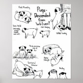 オオカミの血を引いたガスか？ ポスター (正面)