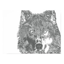 オオカミの視線