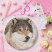 オオカミの誕生日の少年 ペーパープレート (パーティー)