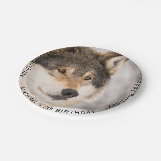 オオカミの野生の男の子の誕生日パーティー ペーパープレート (アングル)