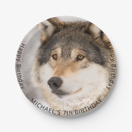 オオカミの野生の男の子の誕生日パーティー ペーパープレート (正面)