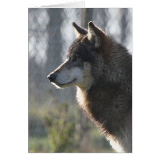 オオカミの頭部