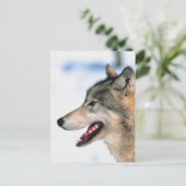 オオカミの頭 ポストカード (スタンド正面)