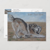 オオカミの風光明媚な野生動物の写生ポストカード ポストカード (正面/裏面)