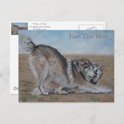 オオカミの風光明媚な野生動物の写生ポストカード ポストカード (正面/裏面)