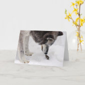 オオカミはマウスに会います カード (黄色い花)