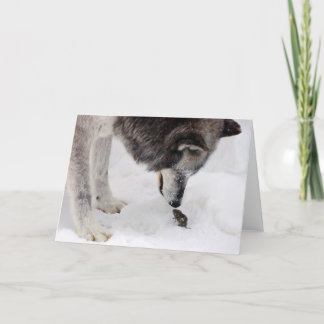 オオカミはマウスに会います カード