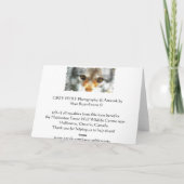 オオカミは野性生物サポータ挨拶カードを注目します カード (裏面)