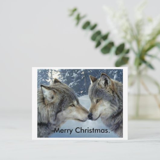 オオカミは鼻をこしてメリークリスマスのポストカードを磨いている。 シーズンポストカード (スタンド正面)