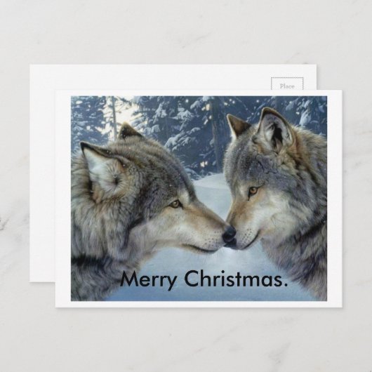 オオカミは鼻をこしてメリークリスマスのポストカードを磨いている。 シーズンポストカード (正面/裏面)