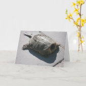 「オオカミツキガメ」誕生日カード カード (黄色い花)