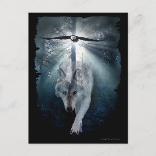 オオカミ及びワシの野性生物の郵便はがきシリーズ ポストカード (正面)