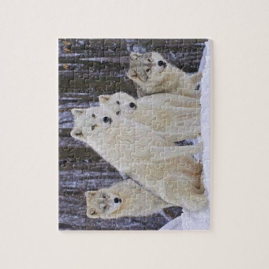 オオカミ家族 ジグソーパズル (縦)