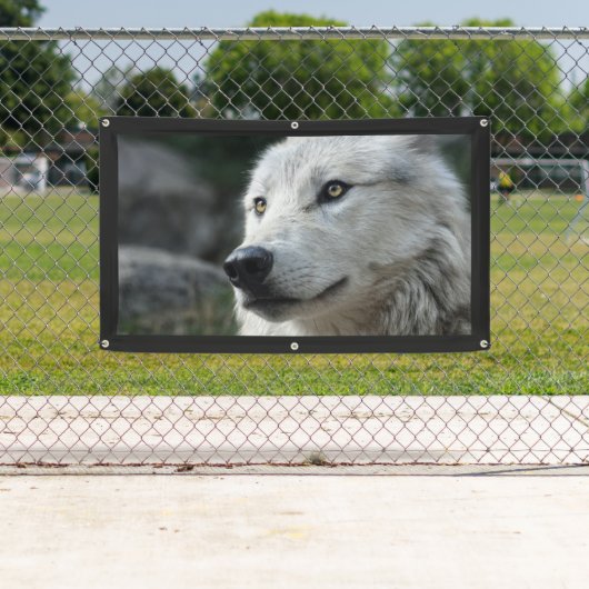 オオカミ旗 横断幕 (インサイチュ)