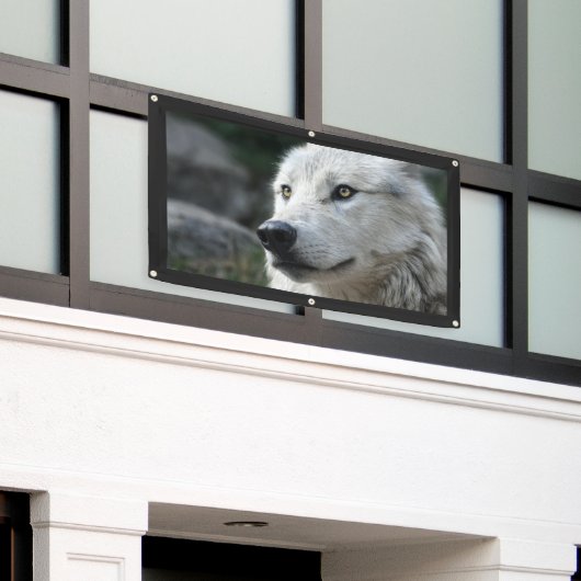 オオカミ旗 横断幕 (ビルの外側)