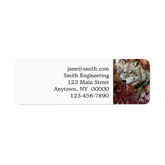 オオカミ秋の葉 ラベル (正面)