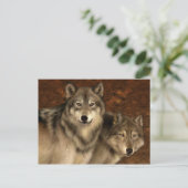 オオカミ葉書 ポストカード (スタンド正面)