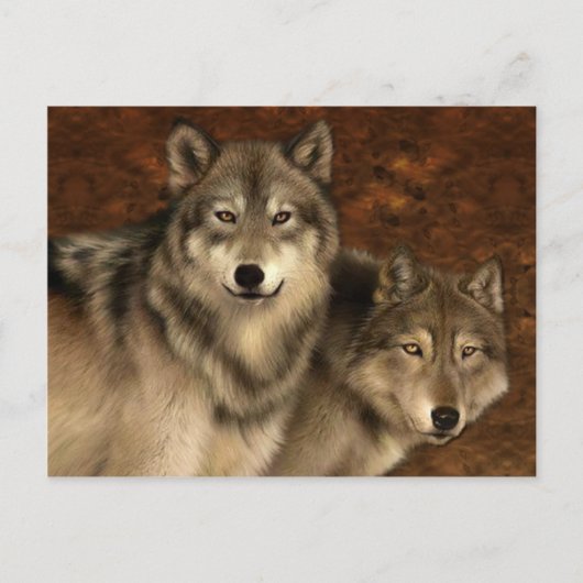 オオカミ葉書 ポストカード (正面)