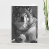 オオカミ雪撮影誕生日カード カード (正面)