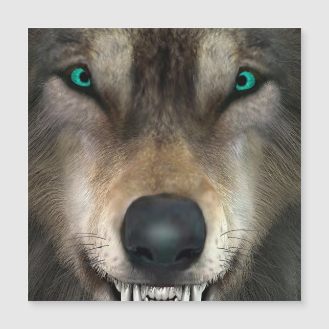 オオカミ (正面)