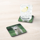 オオカミ2 コースター (右側)