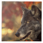 オオカミ2 タイル (正面)