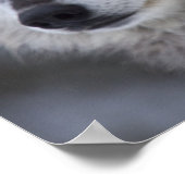 オオカミ(カヌスループス) |西イエローストーン ポスター (角)