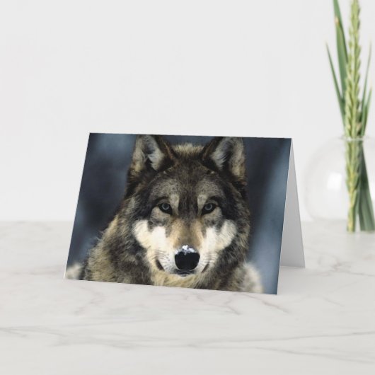 オオカミ カード (正面)